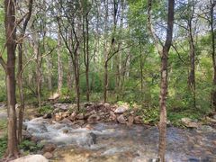 -玉渡山自然风景区