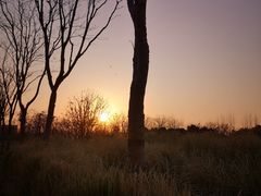 -上海山野camping·户外天幕烧烤·团建拓展营地