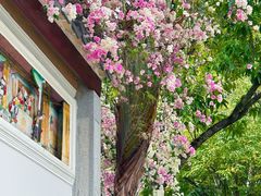 -深圳国际园林花卉博览园