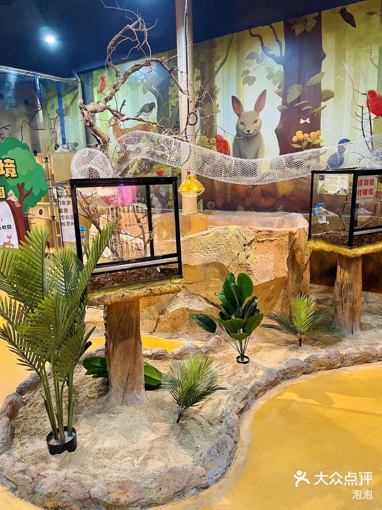 惠州超好玩的室内萌宠乐园