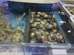 -大众海鲜(巨龙北路店)