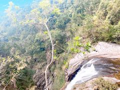 -海南热带雨林国家公园吊罗山景区