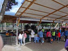 -西霞口神雕山野生动物世界