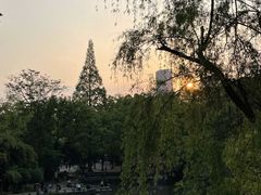 -食膳公园包子铺(烈士公园店)