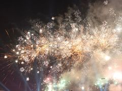 -花博汇(知音花月夜)