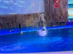 -华夏文旅海洋公园