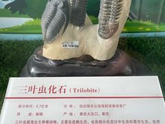 -中国第四纪冰川遗迹陈列馆