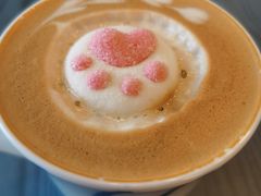 -喵屿·大理花园猫咖
