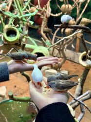 -Zoolung Zoolung动物主题公园(海信广场店)