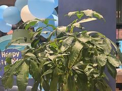 -夏日玛莉西餐厅(金茂览秀城店)