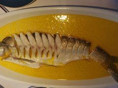 -食悦江南·淮扬菜·烤鸭(亚运村·惠新店)