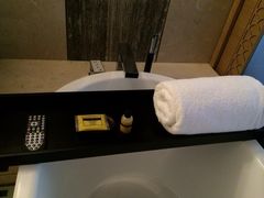 -上海崇明金茂凯悦酒店