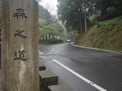 -阿里山神木遗迹