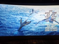 -百丽宫影城(CGS激光苏宁广场店)
