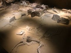 -洛阳周王城天子驾六博物馆