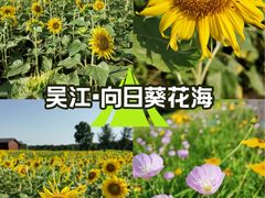 -苏州湾体育公园