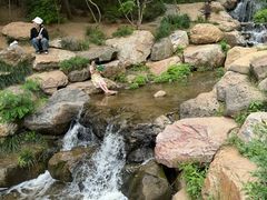 -大连植物园