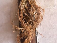 -胖金妹鸡豆凉粉店
