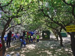 -亲兄弟真人CS团建拓展基地