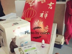 -瑞派长江宠物医院·猫科·外科·24小时夜护(谊城公寓分院)