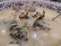-禧福楼·十五年老店(科技城店)