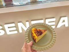 -森茶(湛江万达店)
