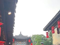 -小龙翻大江文化火锅(宽窄店)