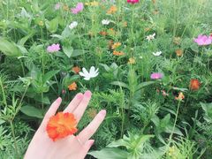 -钟山体育运动公园