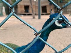 -静之湖湖畔餐厅