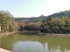 -滴水岩森林公园