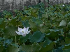 -兰亭风景区