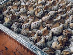 -楠溪江风景名胜区