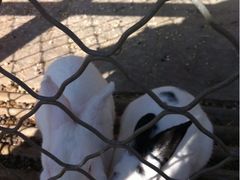 -意大利农场度假村