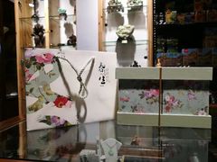 -灵龟之家百象馆(百象馆联合旗舰店)