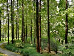 -苏州河梦清园环保主题公园