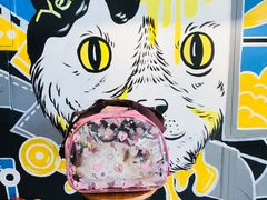 -美联众合宠物医院·爱萌分院·内外科·猫科中心