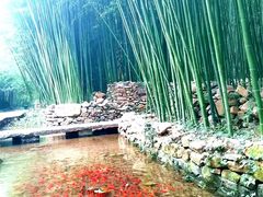 -竹泉村旅游度假区