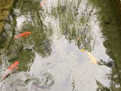 -趵突泉景区