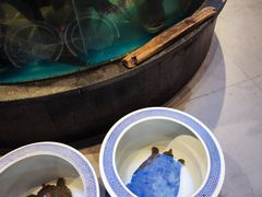 -魏铭鱼头捞饭(晋阳路店)