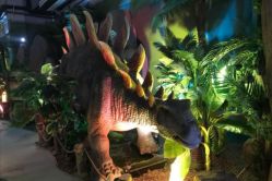 -恐龙探索乐园(磁器口店)