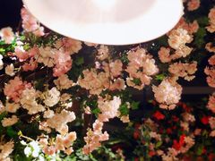 -沪小胖小龙虾(淮海中路旗舰店)