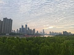 -聂师傅油焖大虾
