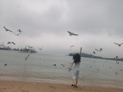 -海驴岛(荣成市)