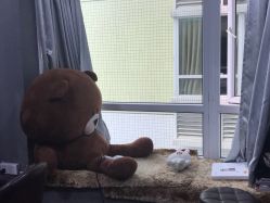 -山浦形象烫染