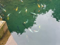-芦茨金富饭庄·25年老字号·专做稻草鸡