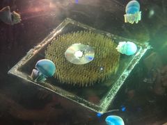 -华夏文旅西安度假区