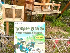 -北京西山国家森林公园