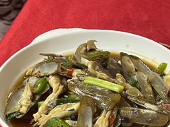 -蛇口康乐快餐鱼仔档(翠苑小区店)