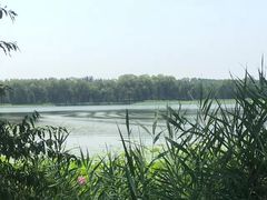 -颐和园-景明楼