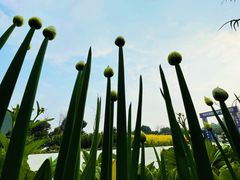 -中国天府农业博览园